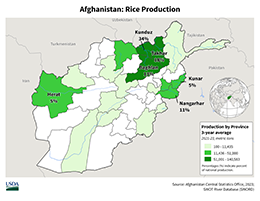 images\AF\cropprod\Afghan_Rice_preview.png